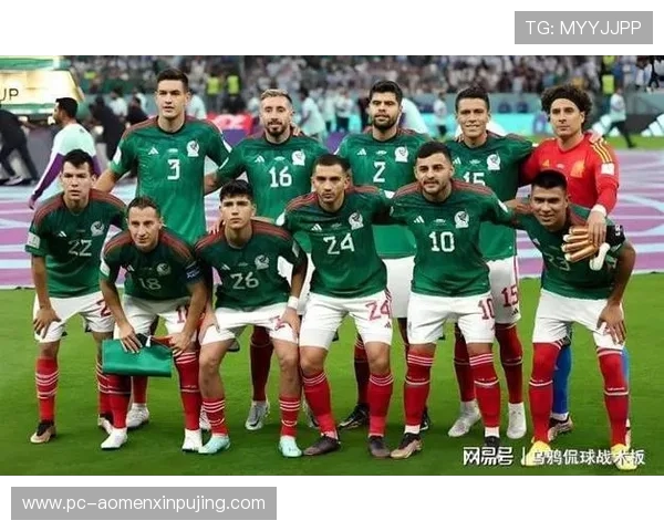 2026年世界杯墨西哥VS南非正式比赛比赛数据统计与精彩瞬间回顾